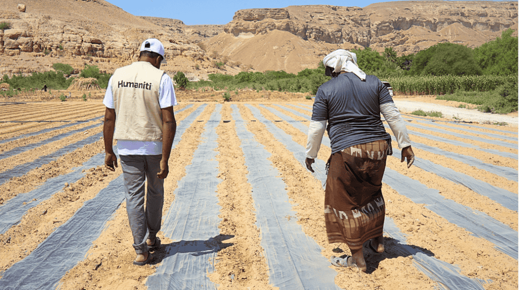 Growing steady income for families in Yemen