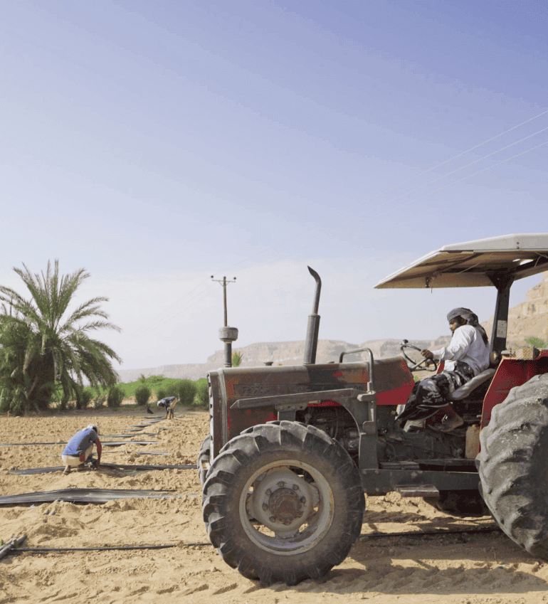 Enhancing financial capabilities for 50 families 